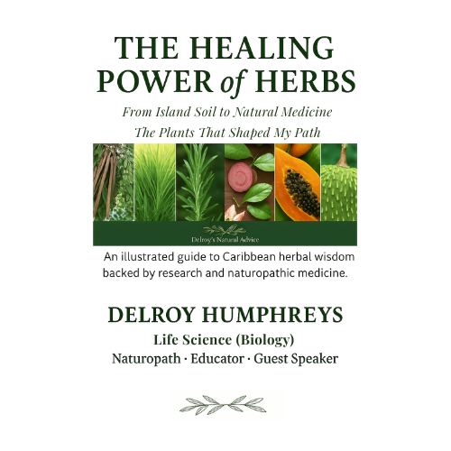 E-Book Important Plants of the Dutch Caribbean- Healing wisdom from natural medicine