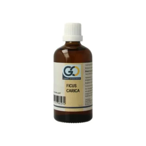 GO Ficus Carica Organic - Gemmotherapy